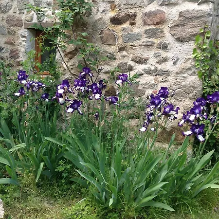 Holiday home Ancienne Ferme Dansl'aveyron *