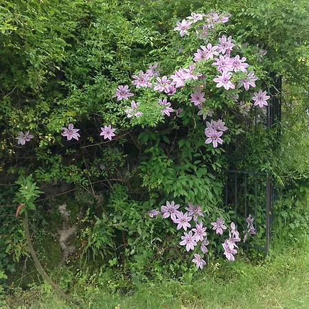 Ancienne Ferme Dansl'aveyron *