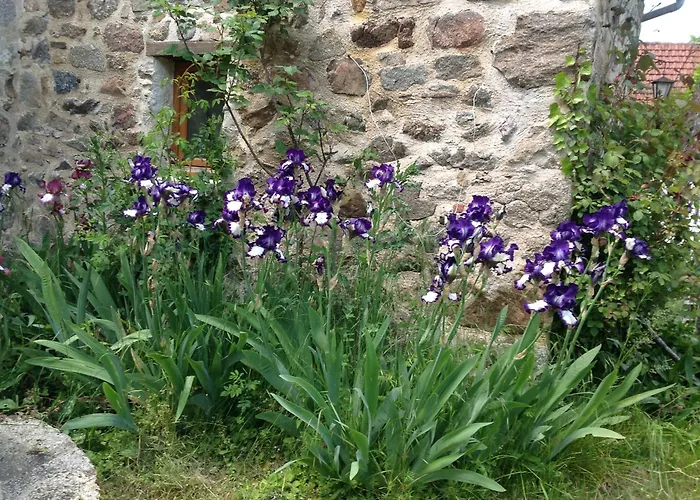 Holiday home Ancienne Ferme Dansl'aveyron *