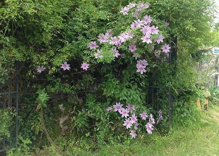 Ancienne Ferme Dansl'aveyron *